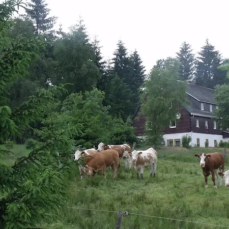 Haus Pentacon * Altenberg